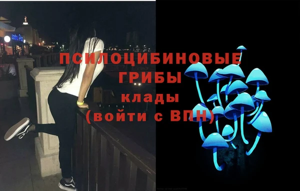 кокаин перу Бородино