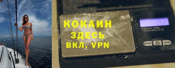 сатива Бронницы
