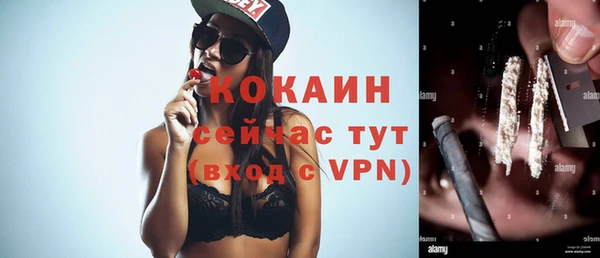 сатива Бронницы