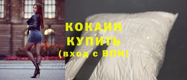 сатива Бронницы