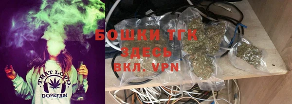 сатива Бронницы